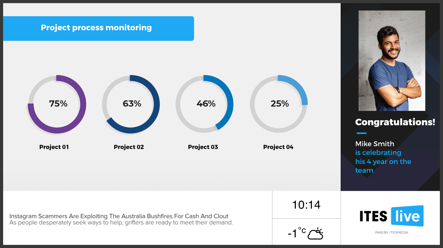 project process